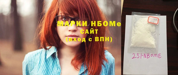 хмурый Арсеньев