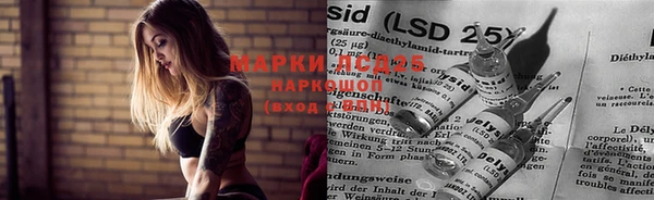 спиды Аркадак