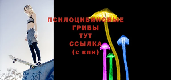 гидра Баксан